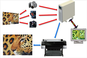 Color Management Diagram and Example